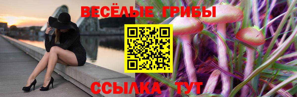 Псилоцибиновые грибы ЛСД Новочеркасск